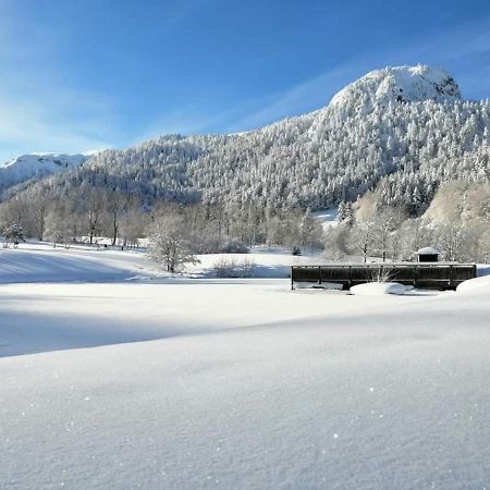 Chalet Des Cascades Льо Мон-Дор Екстериор снимка