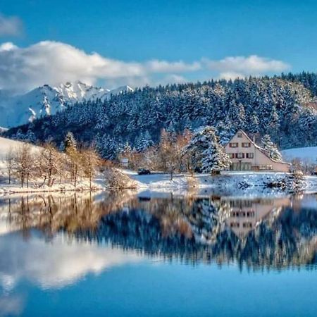 Chalet Des Cascades Льо Мон-Дор Екстериор снимка