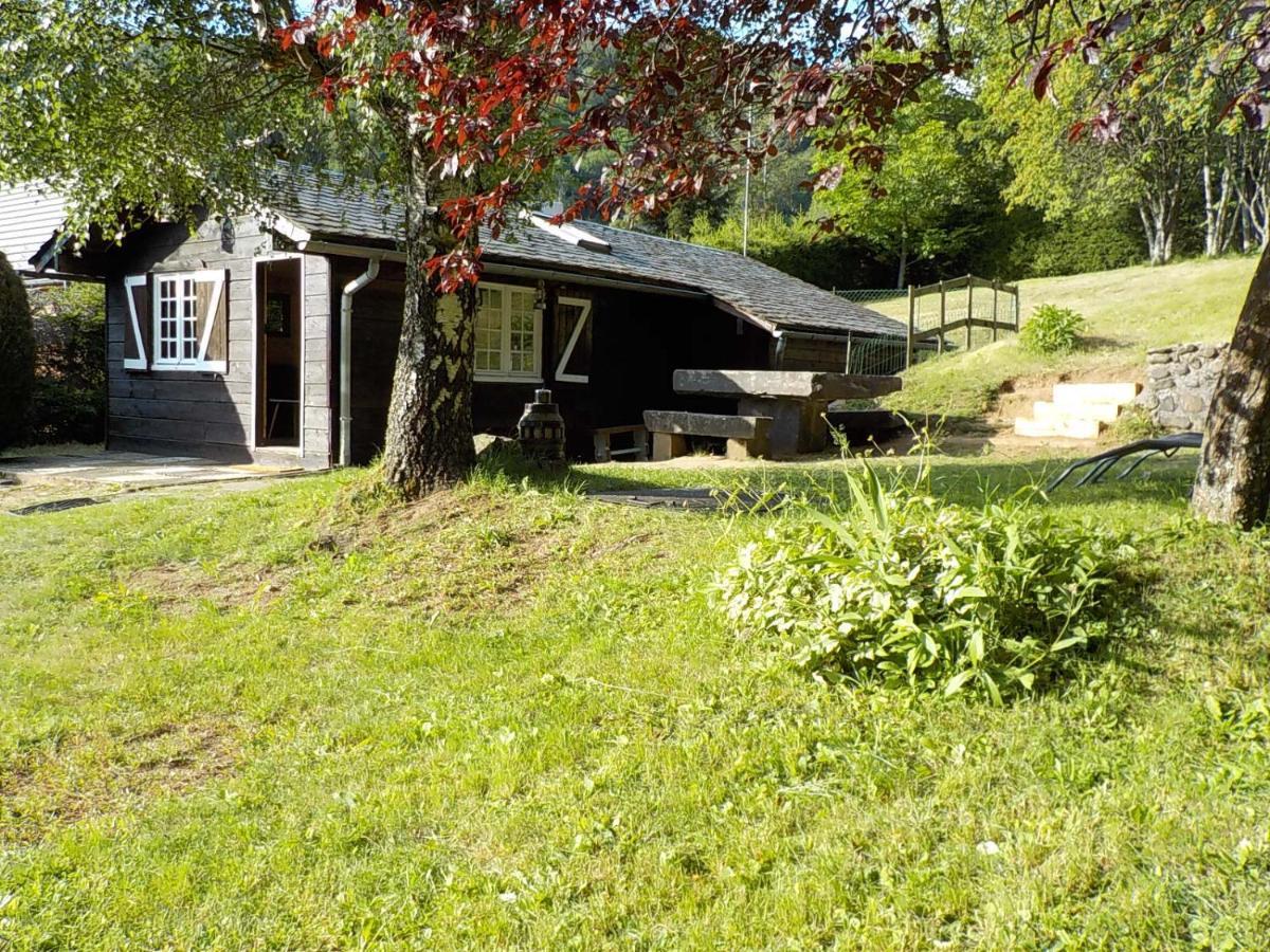 Chalet Des Cascades Льо Мон-Дор Екстериор снимка