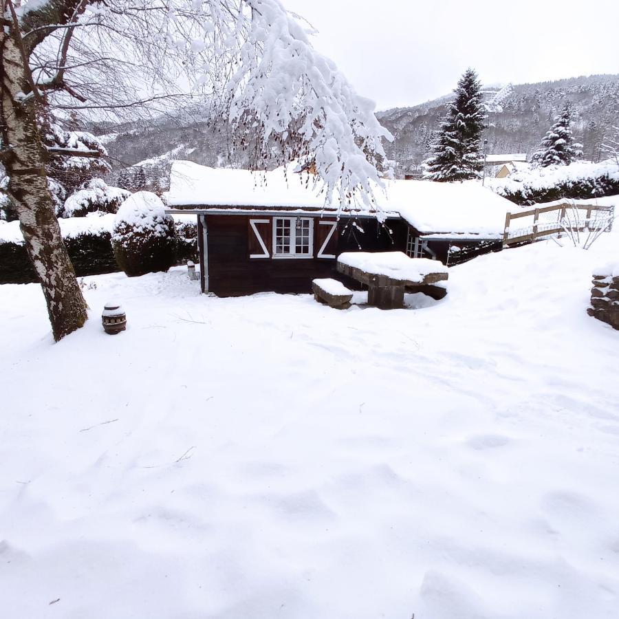 Chalet Des Cascades Льо Мон-Дор Екстериор снимка