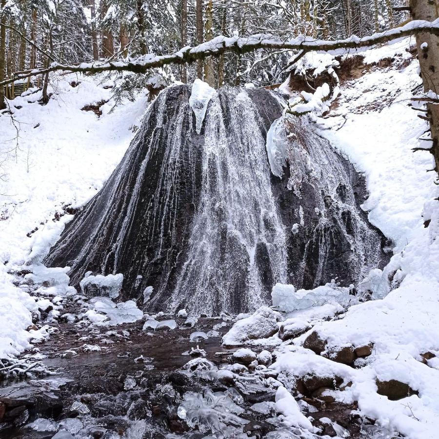 Chalet Des Cascades Льо Мон-Дор Екстериор снимка